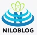 دکتری مدیریت اطلاعات